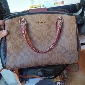 COACH 38380 Signature Exotic Mix SM Margot Crossbody Satchel